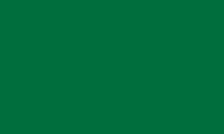 Эмаль акриловая Satin RAL 6029 зелёная